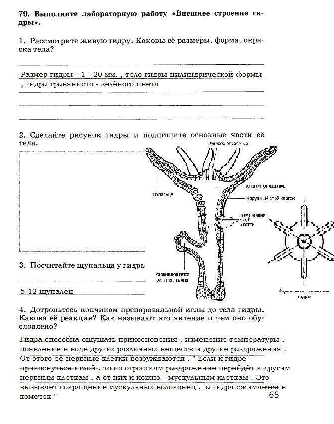 Кракен маркетплейс что это